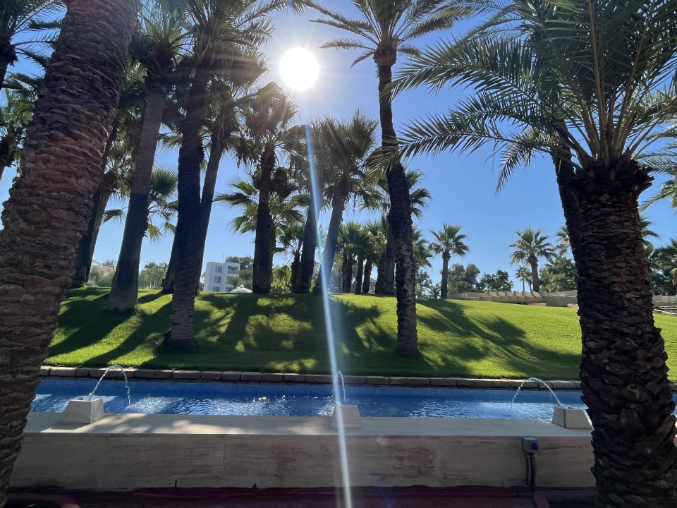 Gartenanlage Monachus Family Resort Sorgun