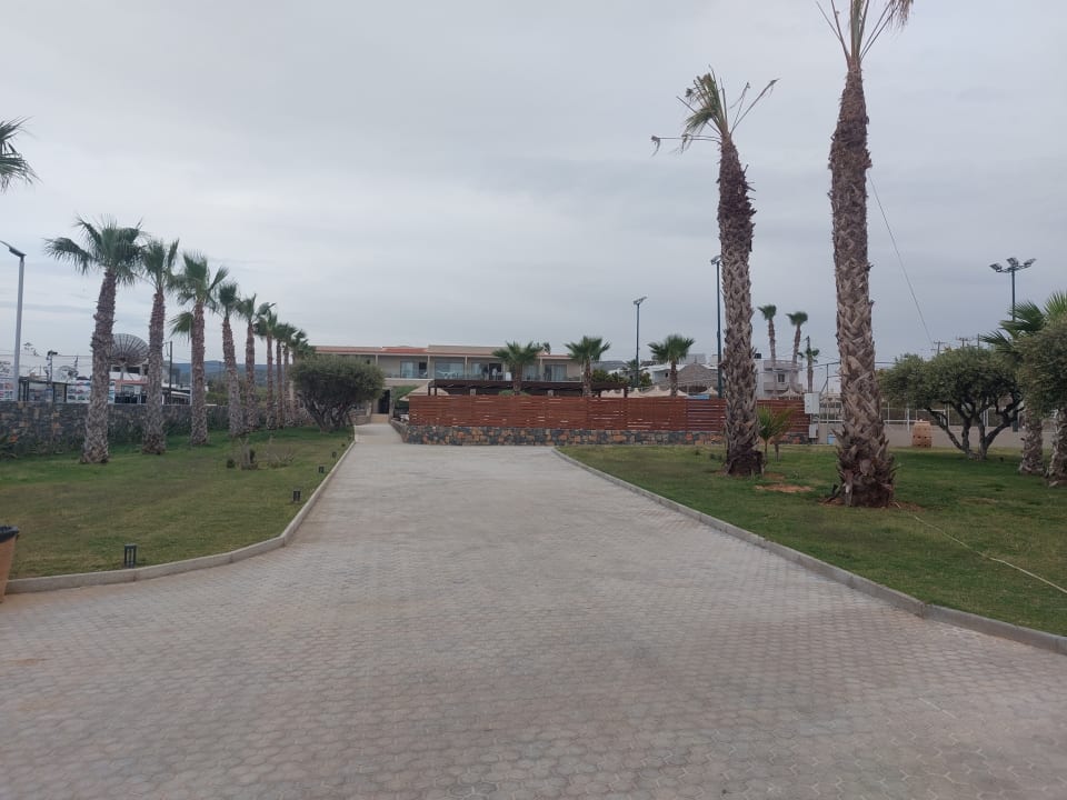 Gartenanlage Hotel Aphrodite Beach Club