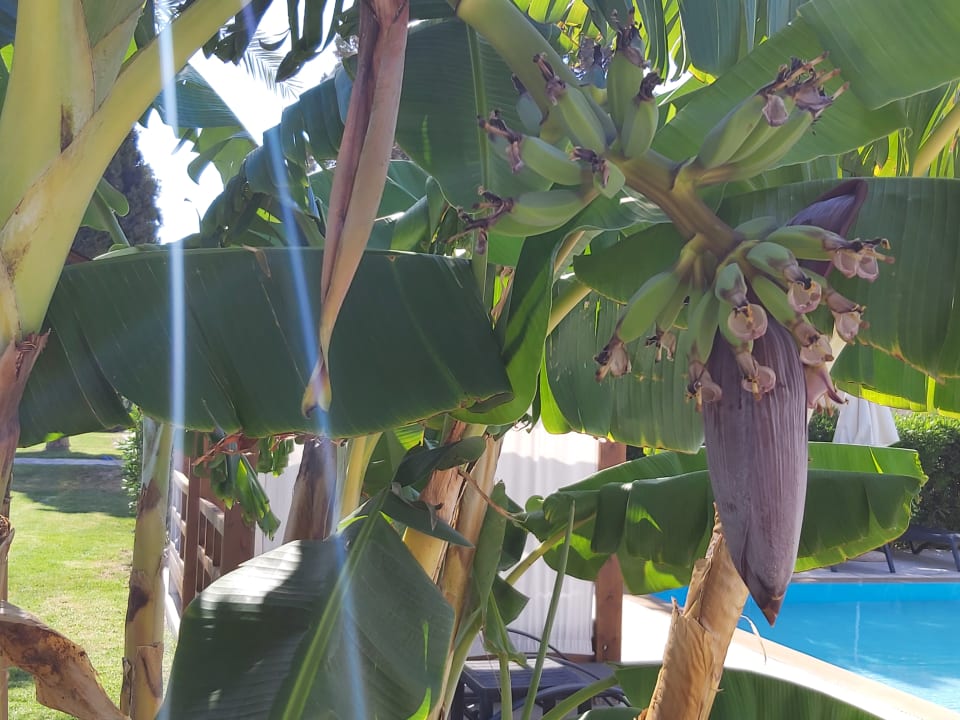 Außenansicht Hotel Belmare