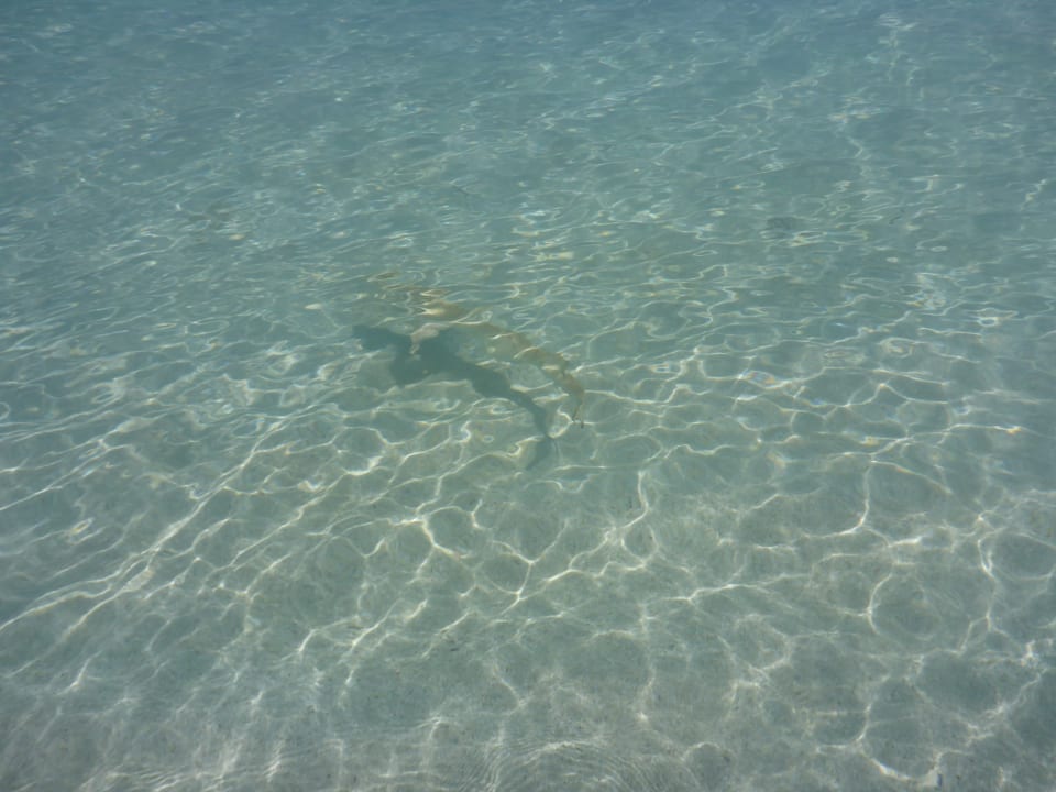 Strand NH Collection Maldives Havodda Resort