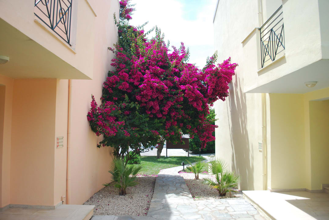 Ogród Hotel Mareblue Beach