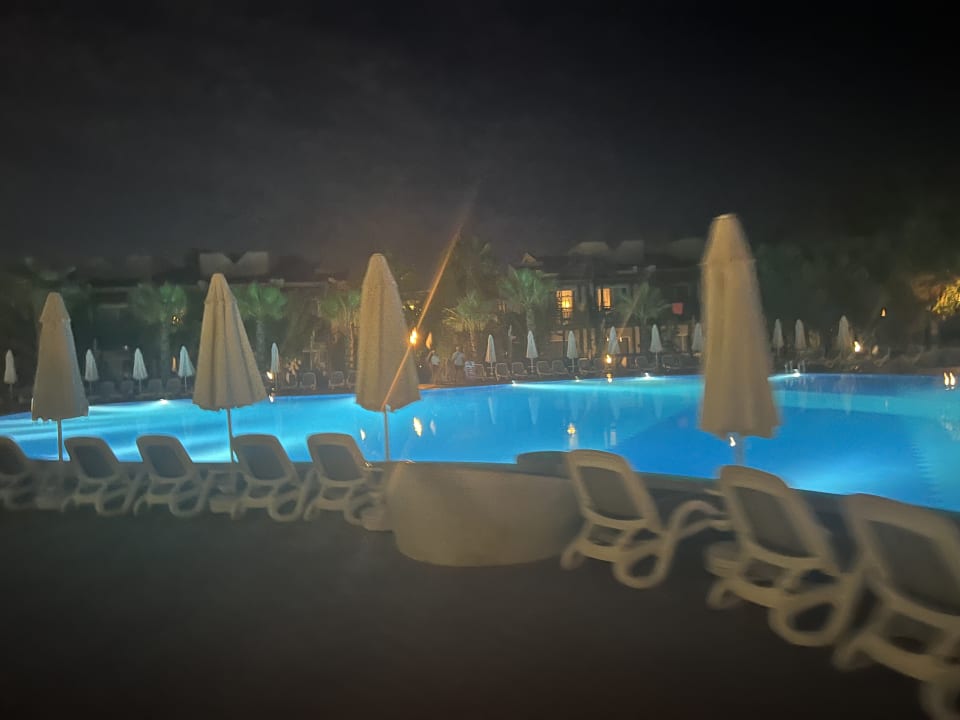Pool Paloma Oceana