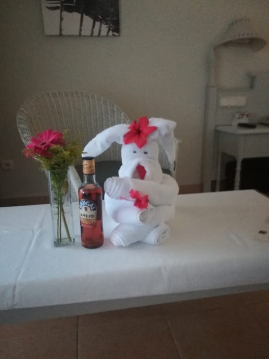 Klein Aufmerksamkeit für Wiederkehrer Obst schon verzehrt Iberostar Waves Costa Dorada