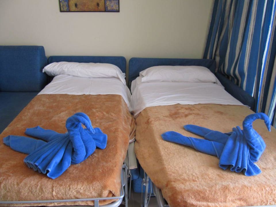 jeden Tag eine neue Überaschung Hotel Las Costas