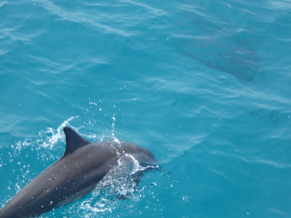 Sport & Freizeit OZEN LIFE MAADHOO
