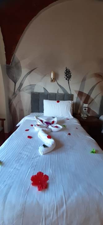 Zimmer Three Corners Sea Beach Resort