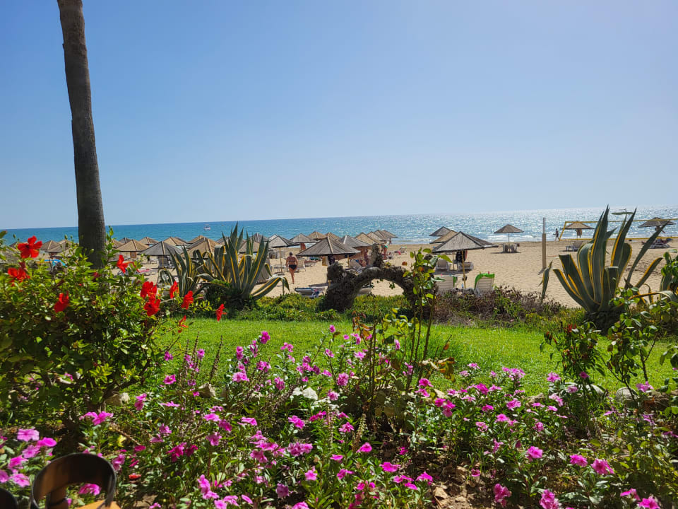 Gartenanlage Hotel Defne Garden