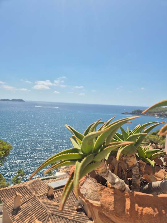 Ausblick Hotel Aldea Cala Fornells 2