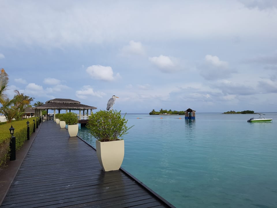 Gartenanlage Adaaran Select Hudhuran Fushi - Premium All Inclusive
