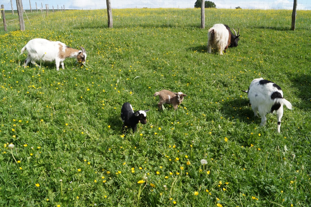 Gartenanlage Waldhauser-Hof