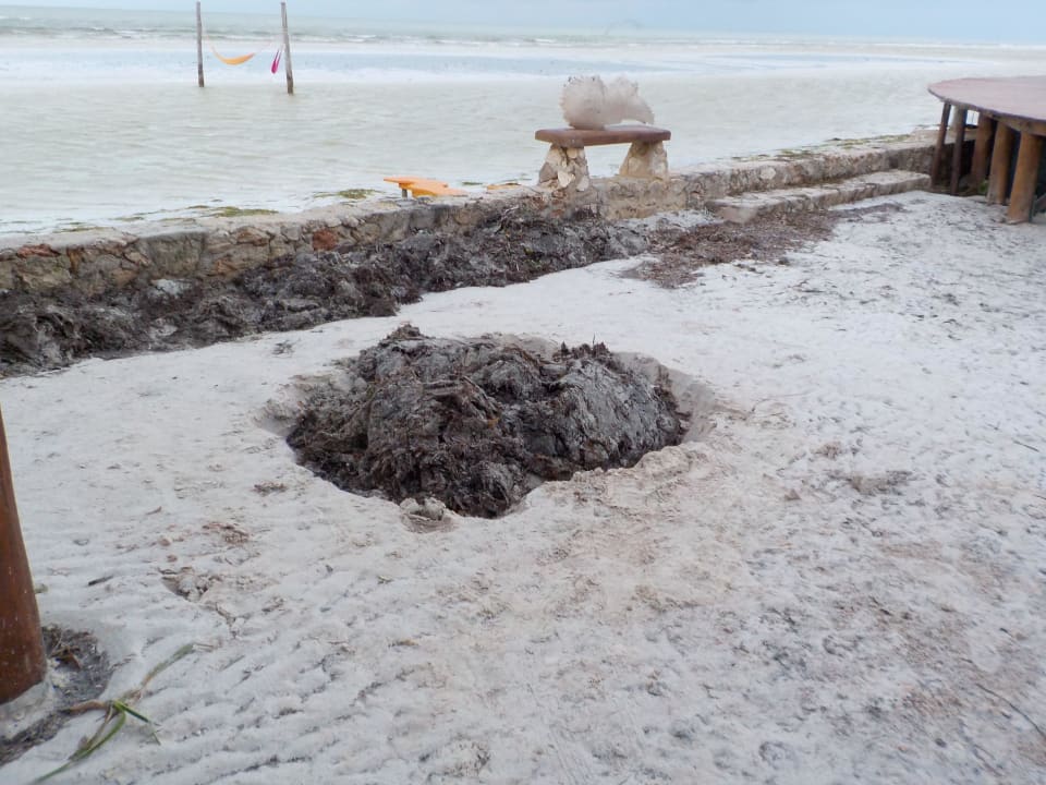 "Beseitigung" nach Sturm Hotel Villas Flamingos