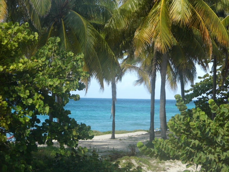 Blick aus Zimmer Hotel Gran Caribe Club Kawama