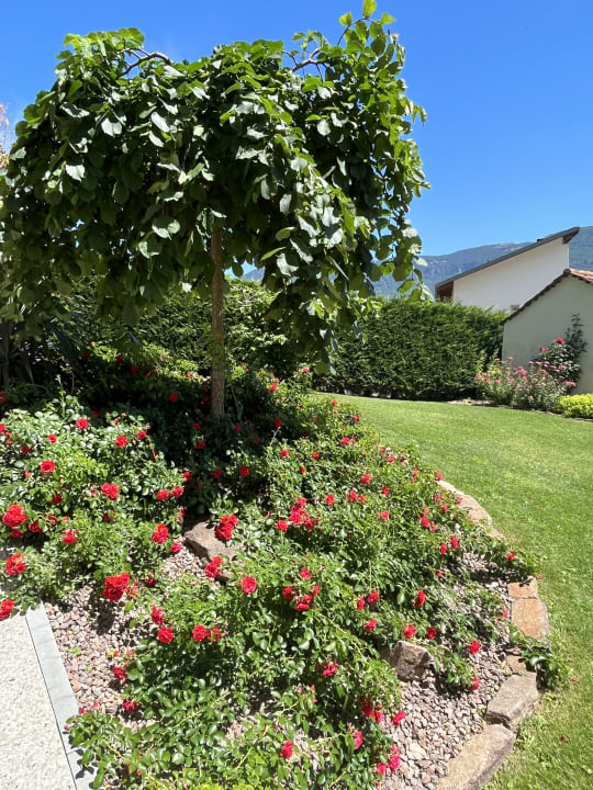 Gartenanlage Ferienwohnungen Wieserhof