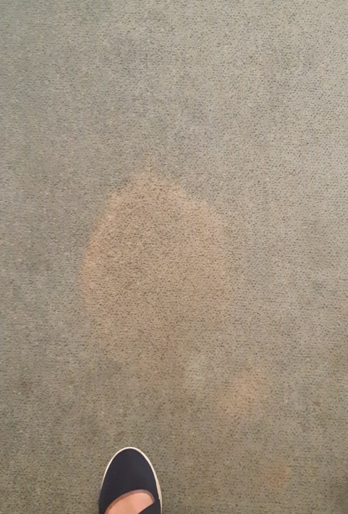 Zimmer Hotel Hasselbarth