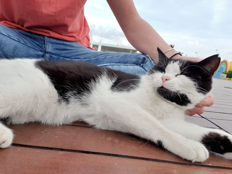 Sonstiges Hotel SU & Aqualand