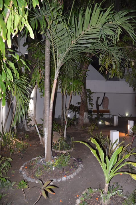 Gartenanlage Capital Plaza Hotel