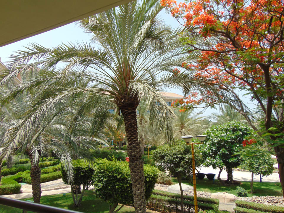 Ausblick Fujairah Rotana Resort & Spa