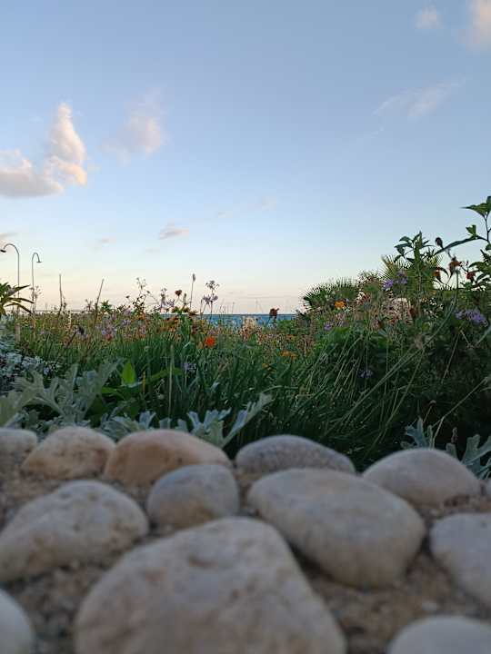Außenansicht Golden Beach Rethymnon