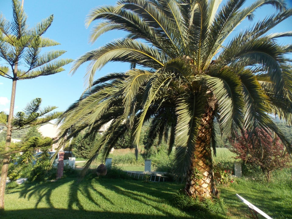 Bild von Terrasse Almyros Villas Resort