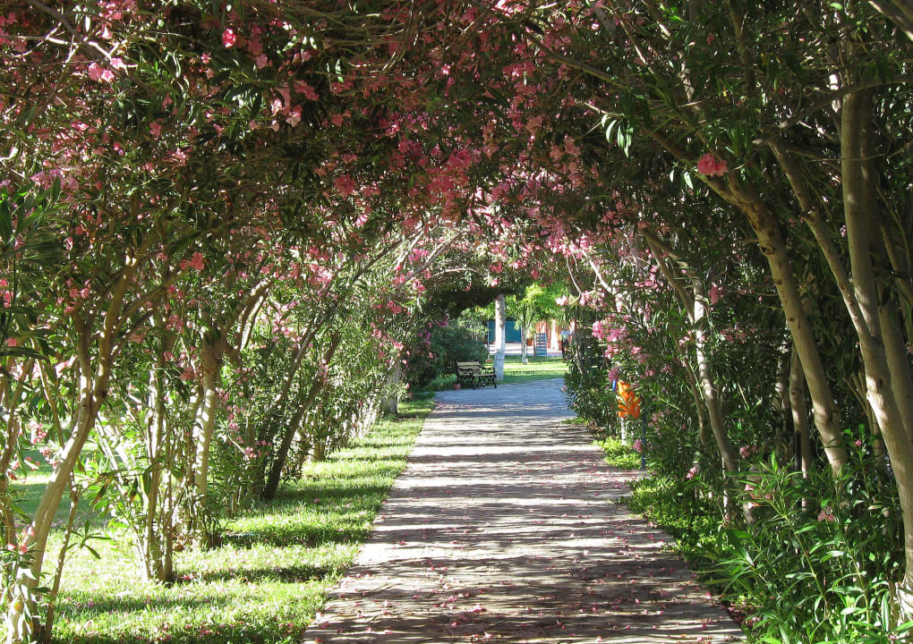 Gartenwege Kustur Club Holiday Village