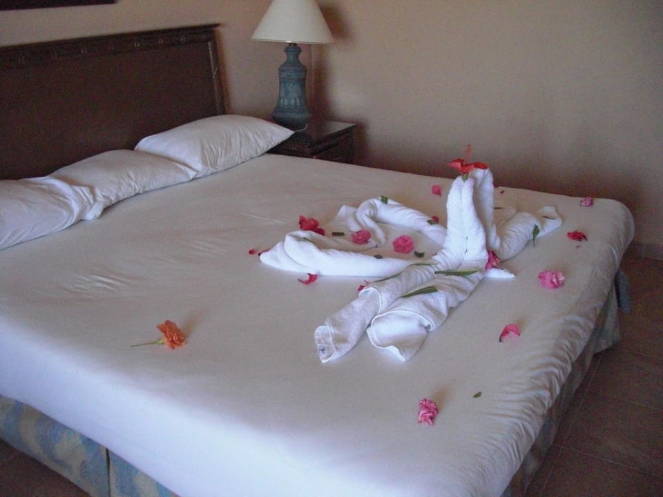 Jeden Tag neu gestaltet Parrotel Beach Resort