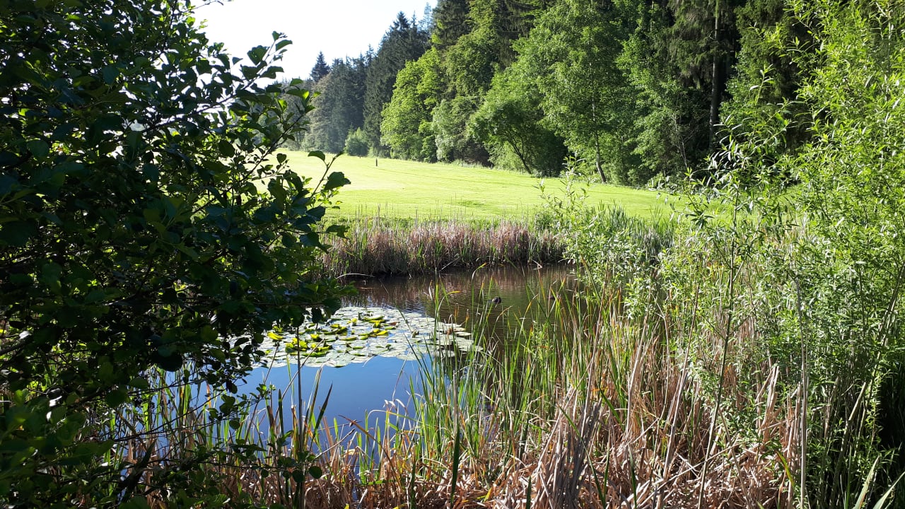 Sport & Freizeit Spa & GolfResort Weimarer Land