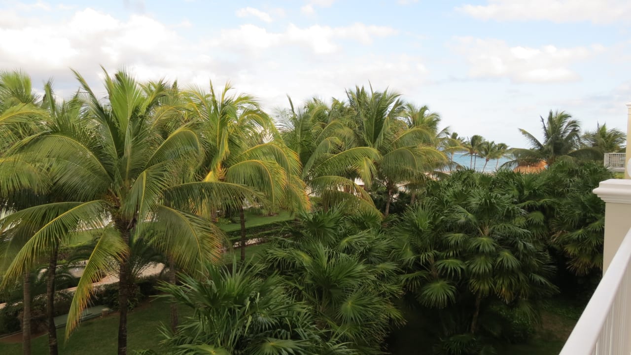Ausblick Dreams Tulum Resort & Spa