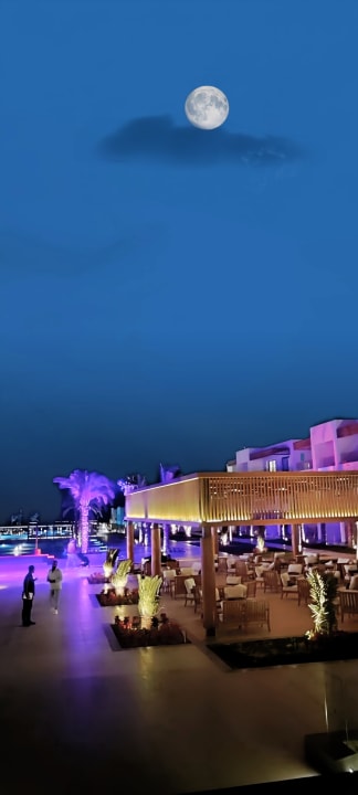 Gastro JAZ Elite Amara