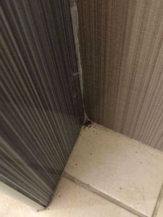 Zimmer Hotel Kouros Palace