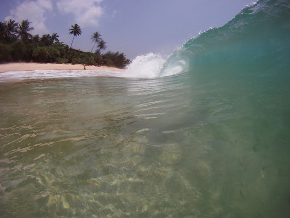 Strand Hotel Haus am Meer Wilde Ananas