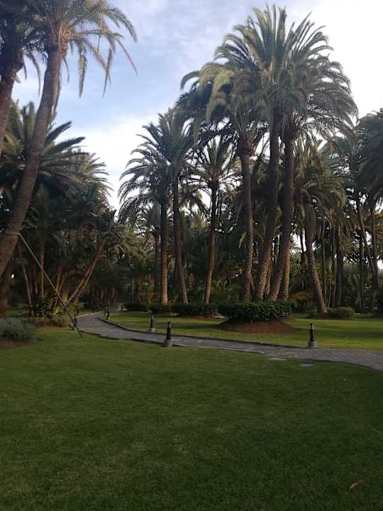 Gartenanlage Hotel Riu Palace Oasis
