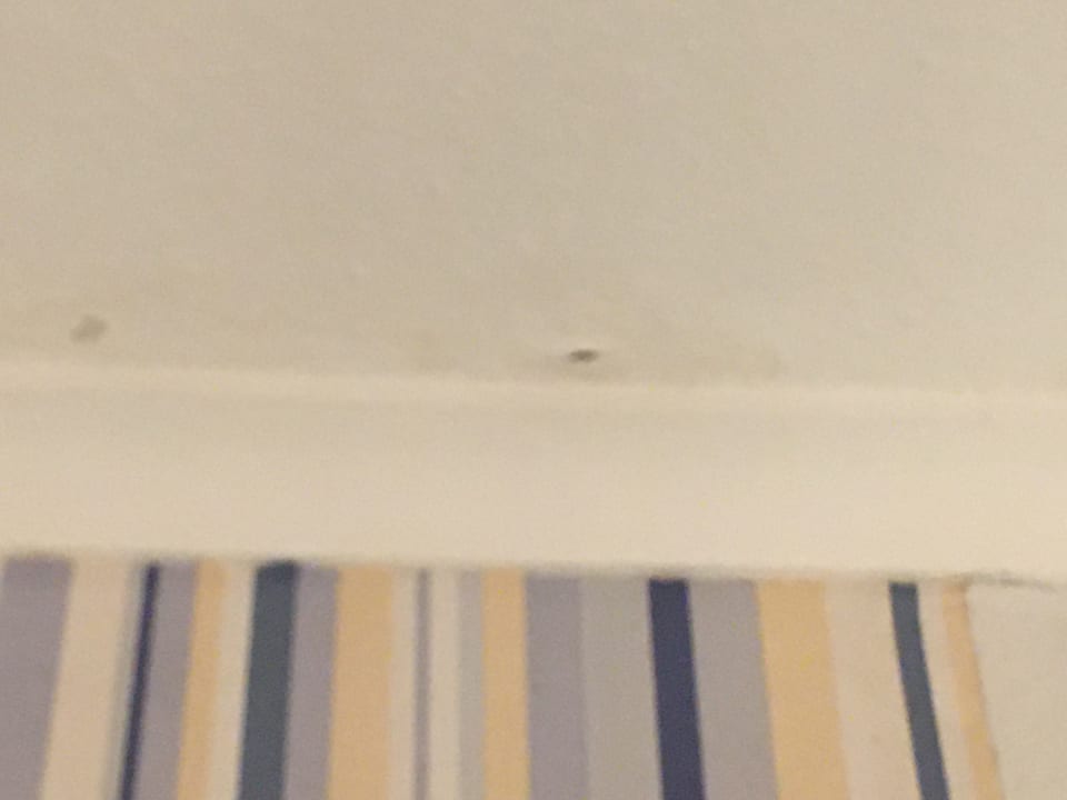 Zimmer Ferienhof Frieslandstern