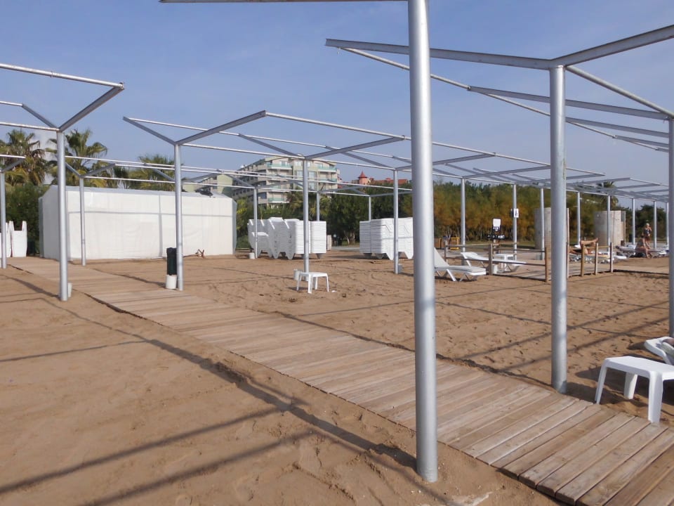 November - auch hier wird fleissig abgeräumt VONRESORT Golden Coast