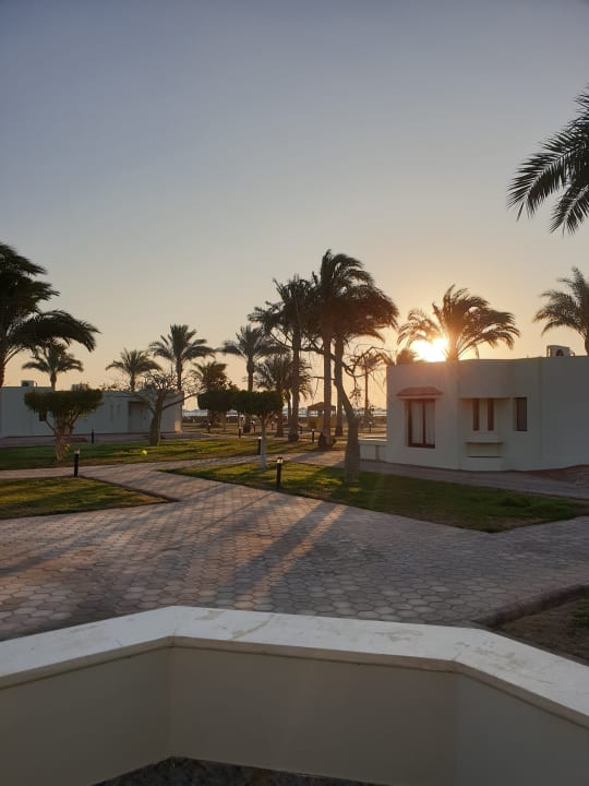 Zimmer Pharaoh Azur Resort
