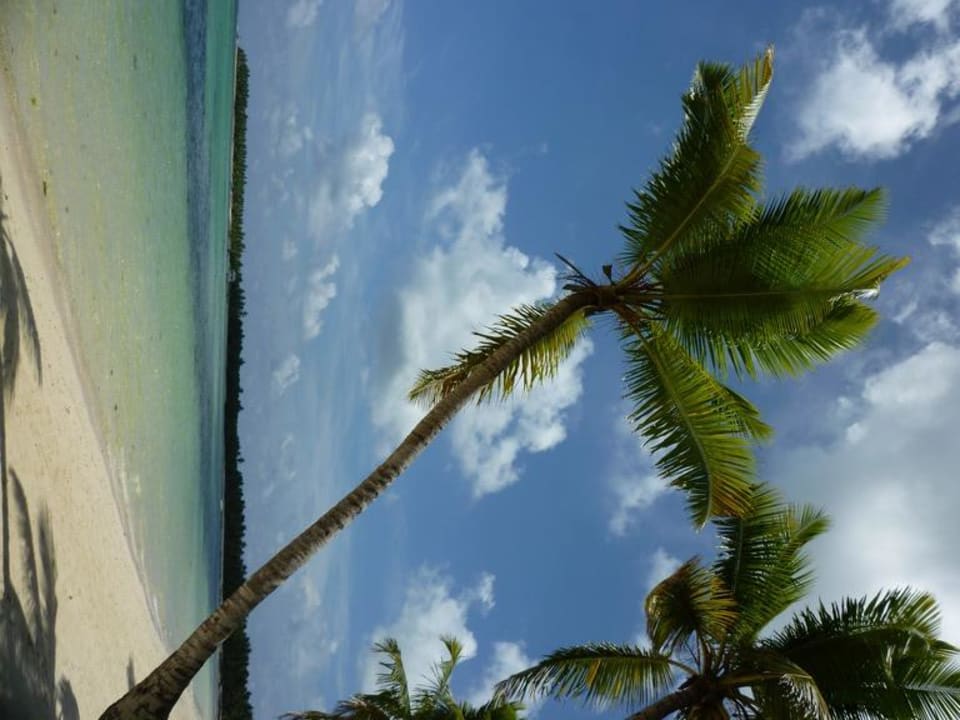 Erholung pur Villas Bavaro Resort & Spa