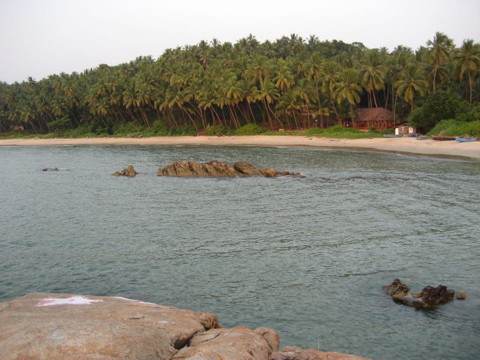White sand beach and beach villas in kannur beach Chera Rock Beach House