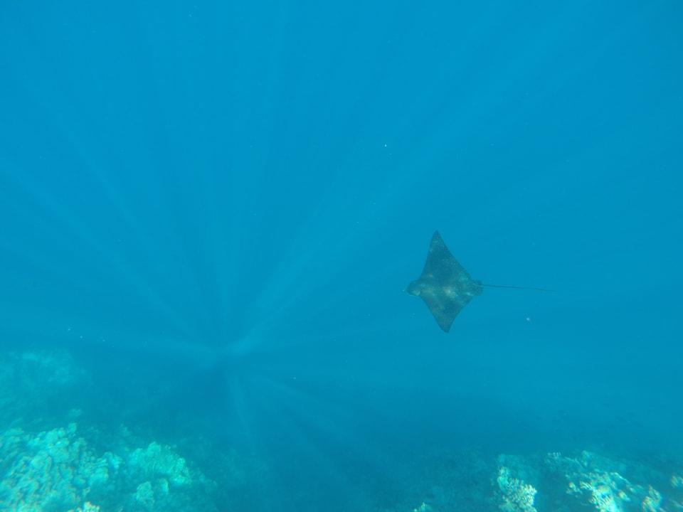 Sport & Freizeit Adaaran Select Hudhuran Fushi - Premium All Inclusive