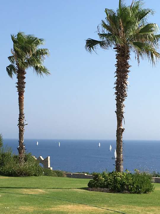 Ausblick Hotel Kalithea Horizon Royal