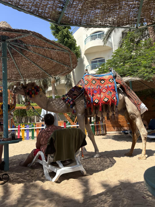 Strand Bella Vista Resort Hurghada