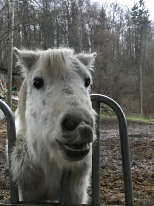 Sonstiges Ferienparadies am Rennweg