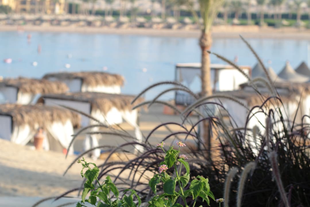 Strand Steigenberger Coraya Beach - Adults only