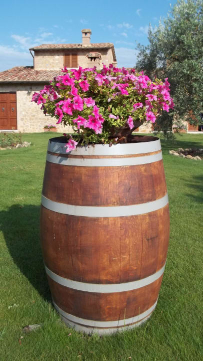 Liebevoll gepflegte Gartenanlage Hotel Agriturismo La Bruciata