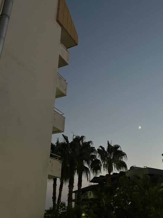 Ausblick Hotel Gardenia Beach