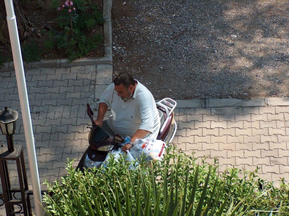 Otto Hotel Forest Park