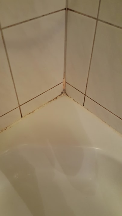 Schimmel Dusche  Bayerische Gastwirtschaft Dimpfl-Stadl