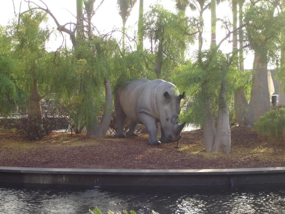 Nashorn Lopesan Baobab Resort