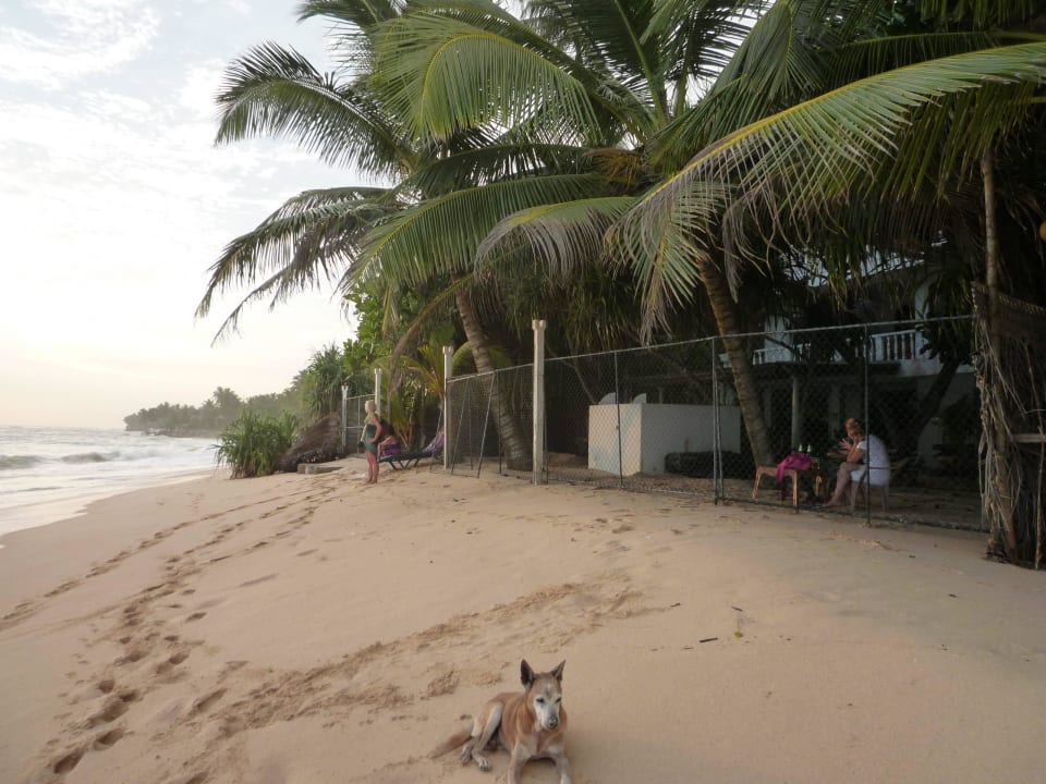 Gitter, mit welchem am Abend verriegelt wird Hotel Haus am Meer Wilde Ananas
