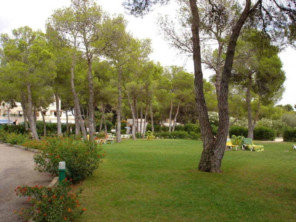 Liegewiese ohne Liegen TUI MAGIC LIFE Cala Pada