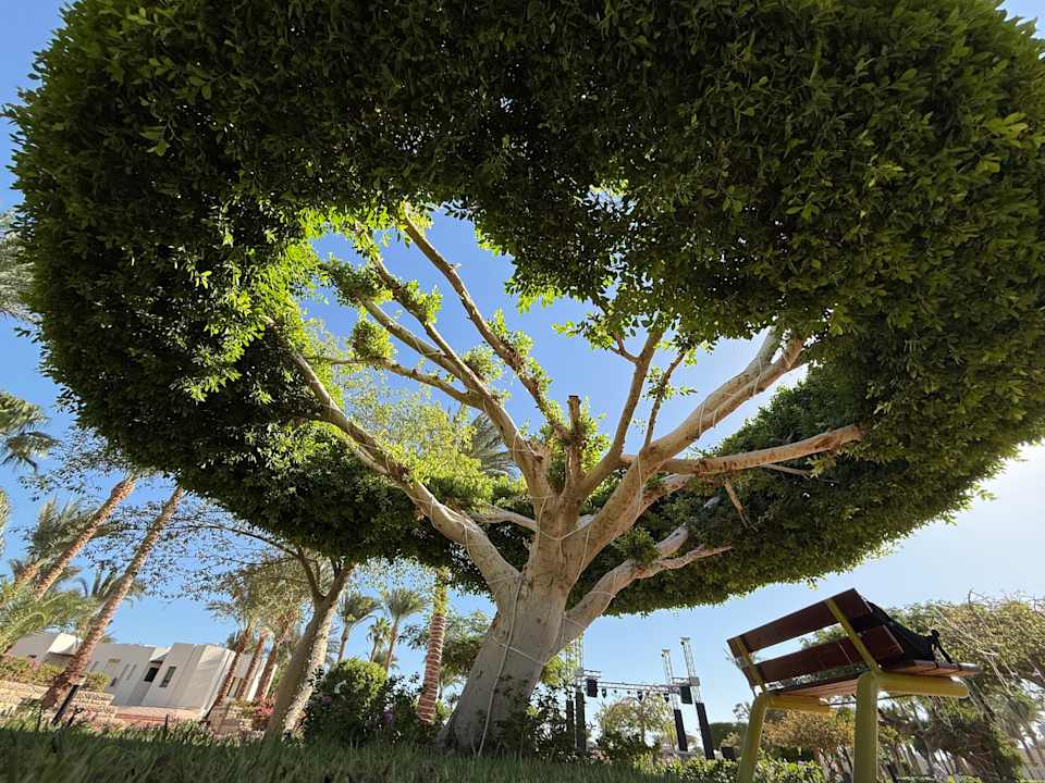 Gartenanlage Pharaoh Azur Resort