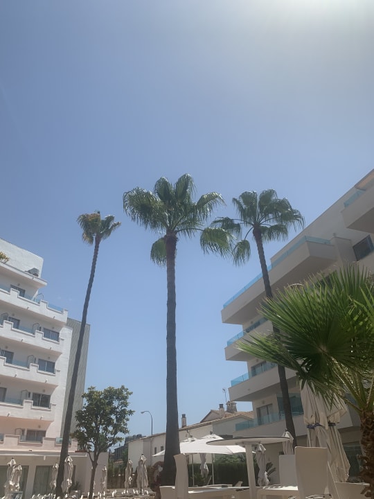 Gartenanlage Metropolitan JUKA Playa Aparthotel